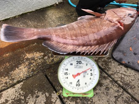 伊豆下田フィッシング 釣果