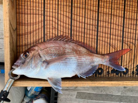 幸吉丸 釣果