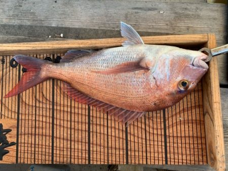 幸吉丸 釣果