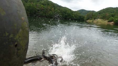 フィッシングレイクたかみや 釣果