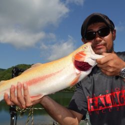 フィッシングレイクたかみや 釣果