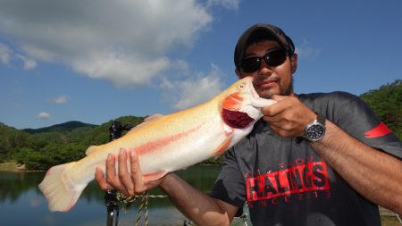 フィッシングレイクたかみや 釣果