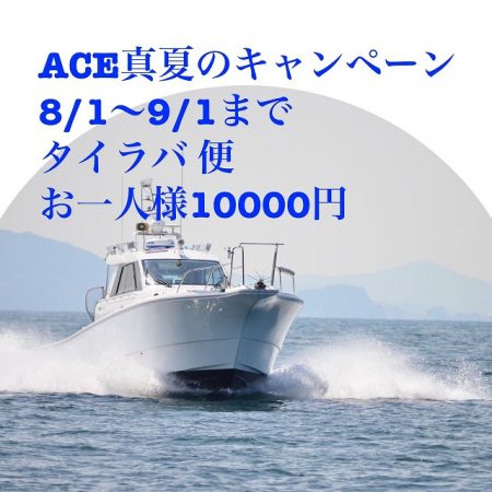 フィッシングボートACE（エース） 釣果