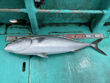 広進丸 釣果