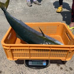 みやけ丸 釣果