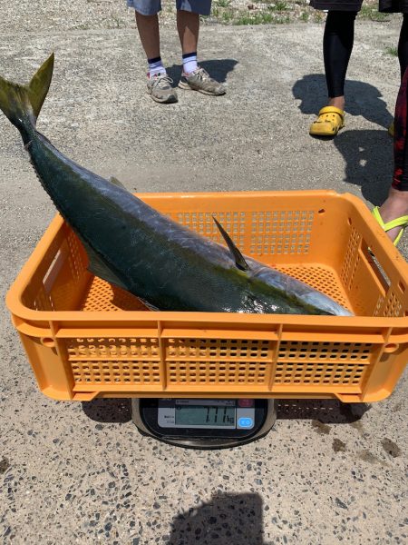 みやけ丸 釣果