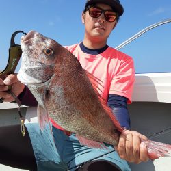 海峰 釣果