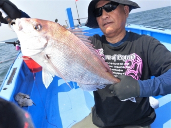 鯛紅丸 釣果