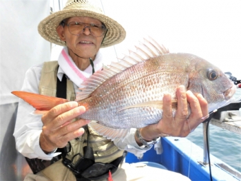 鯛紅丸 釣果