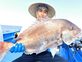 鯛紅丸 釣果