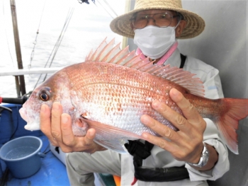 鯛紅丸 釣果