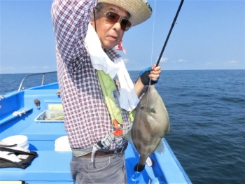 鯛紅丸 釣果