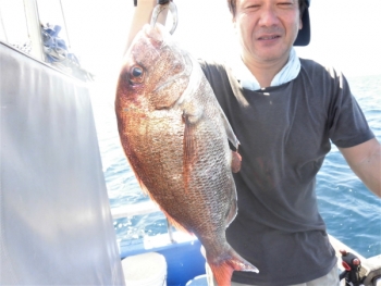 鯛紅丸 釣果