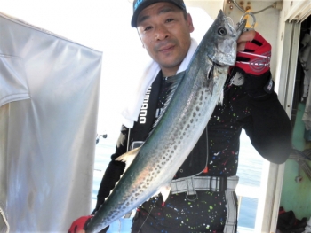 鯛紅丸 釣果