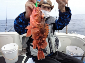 鯛紅丸 釣果