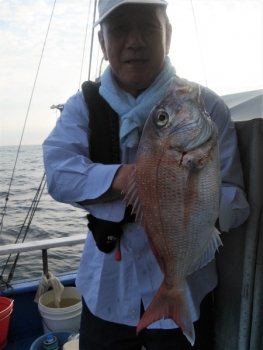 鯛紅丸 釣果