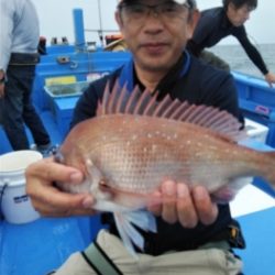 鯛紅丸 釣果