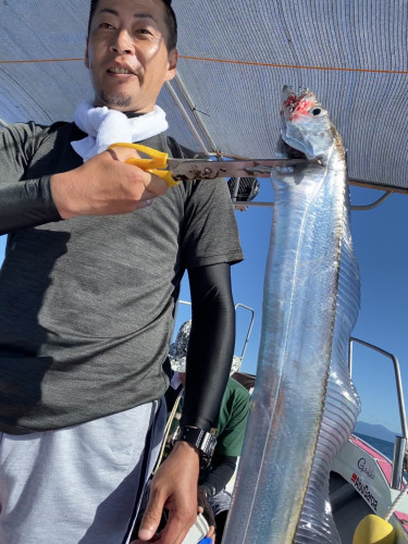 釣船 浦島太郎 釣果