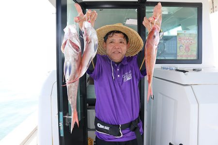 松本釣船２ 釣果