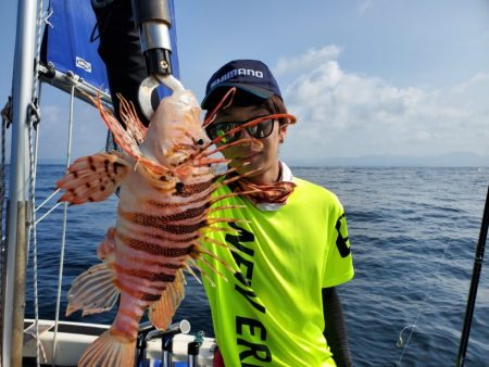 ブルーピア 釣果