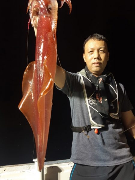 飛燕さくら丸 釣果