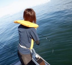 遊漁船 幸友丸 釣果