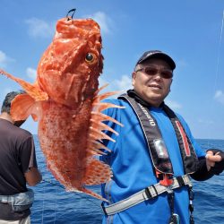 珀宝丸 釣果