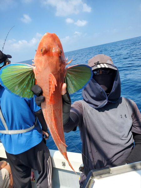 珀宝丸 釣果