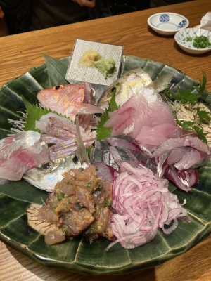 大宝丸 釣果