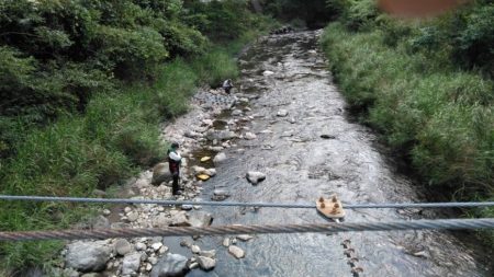 大井川（大井川(非)漁業協同組合） 釣果