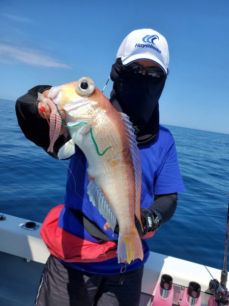 珀宝丸 釣果