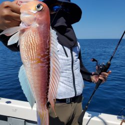 珀宝丸 釣果