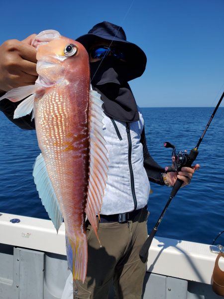 珀宝丸 釣果