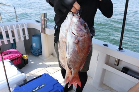 松本釣船２ 釣果