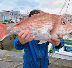 橋安丸 釣果