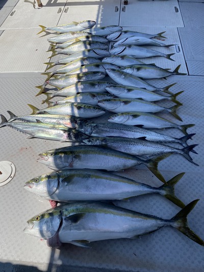 ミタチ丸 釣果