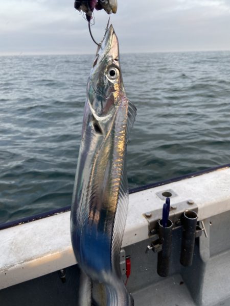 夢丸 釣果