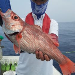 海峰 釣果