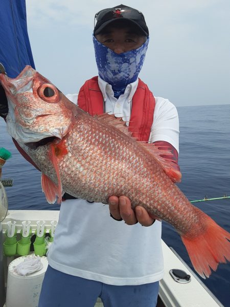 海峰 釣果