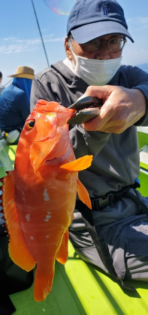 松栄丸 釣果