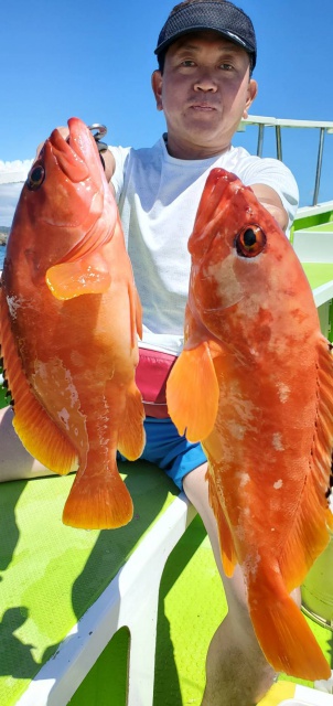 松栄丸 釣果