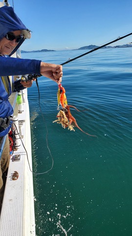 遊漁船　ニライカナイ 釣果