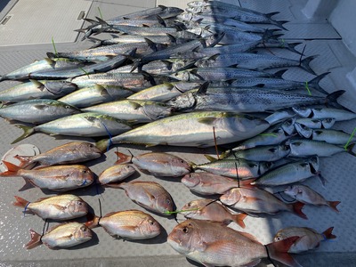 ミタチ丸 釣果