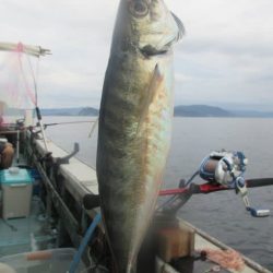 松福丸 釣果