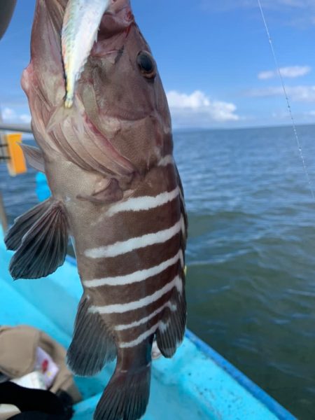 宝昌丸 釣果