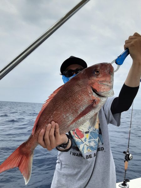 海峰 釣果