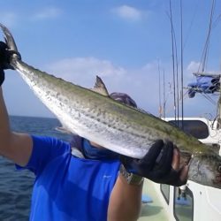 さわ浦丸 釣果