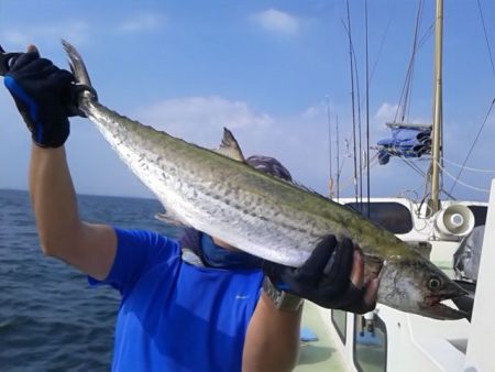 さわ浦丸 釣果