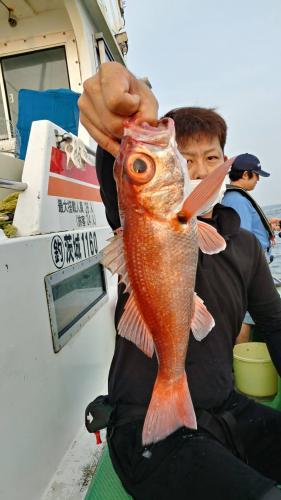 仁徳丸 釣果