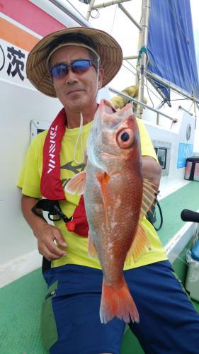 仁徳丸 釣果